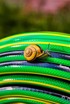 HOME PLUS Vrtno crijevo 3/4" 50 m